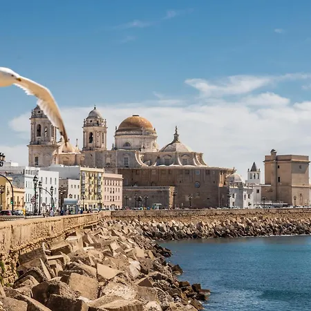 公寓 Loft Victoria - Free Parking By Time