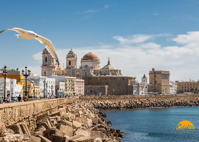 Appartement Loft Victoria - Free Parking By Time